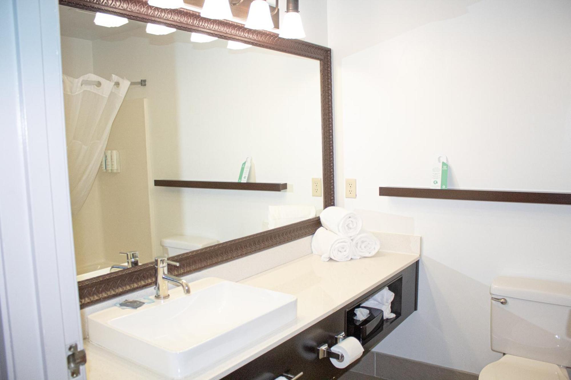 Country Inn & Suites By Radisson, Big Rapids, Mi Εξωτερικό φωτογραφία