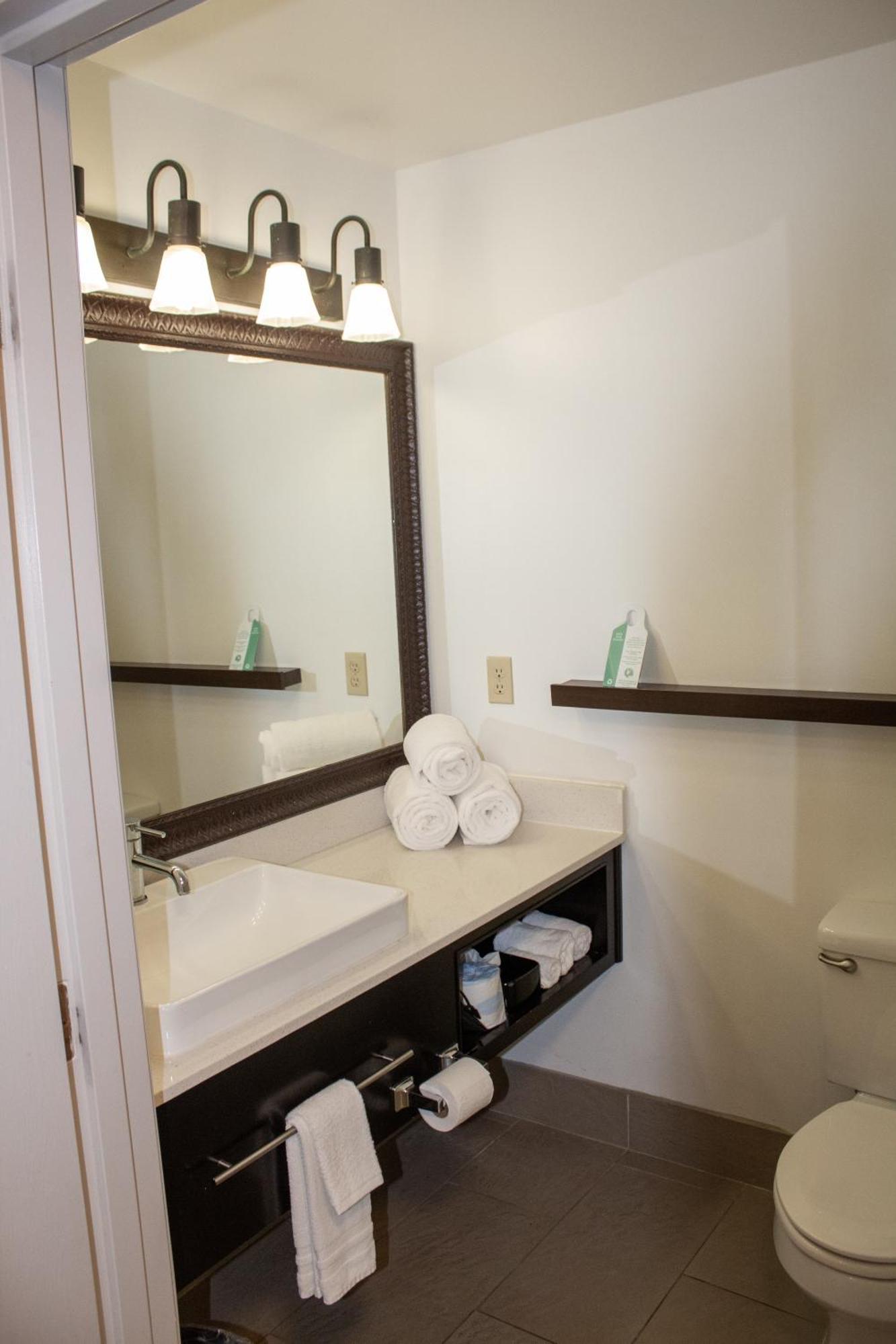 Country Inn & Suites By Radisson, Big Rapids, Mi Εξωτερικό φωτογραφία